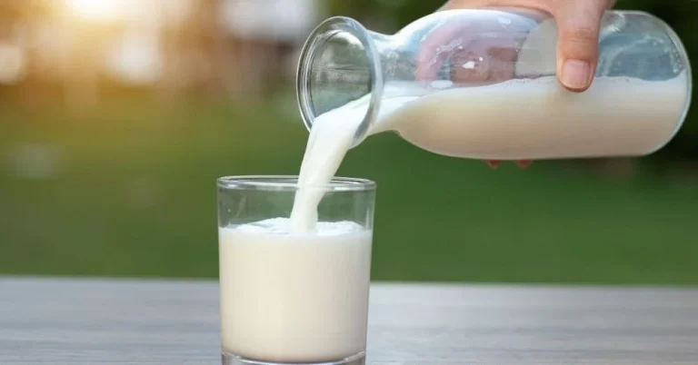 How Many Calories in 1 Glass of Milk